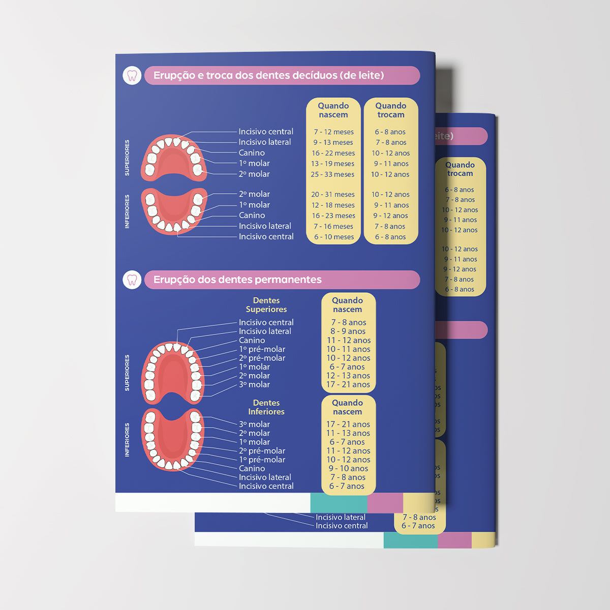 Carteira de Acompanhamento Odontológico | Modelo 002