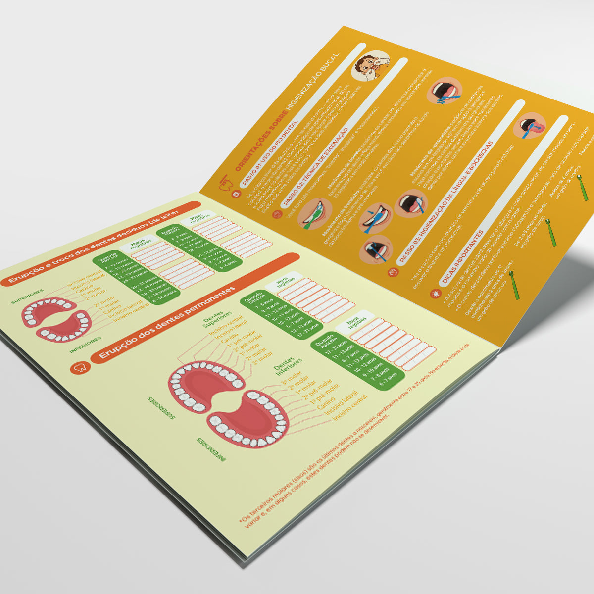 Carteira de Acompanhamento Odontológico 8 Páginas | Modelo 007