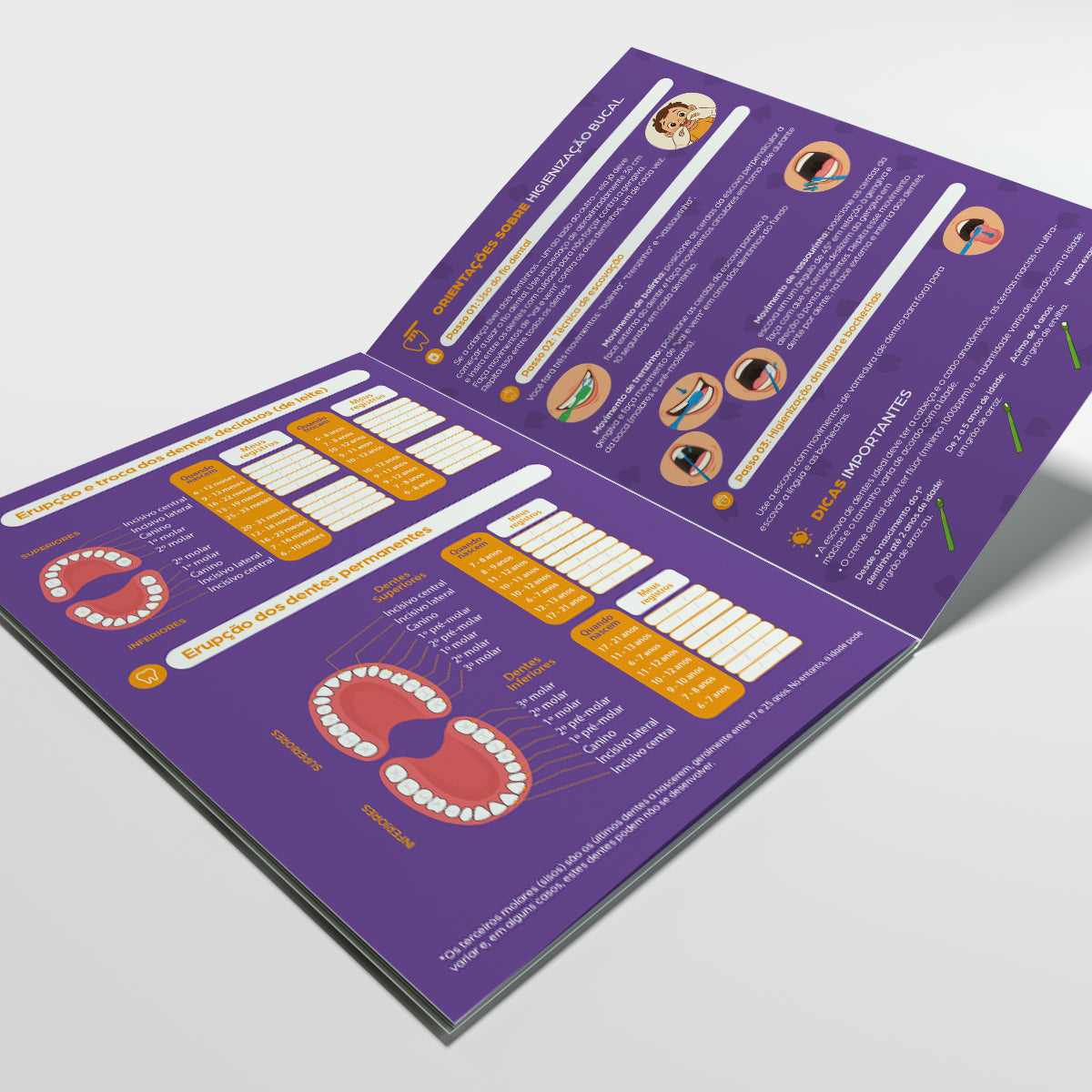 Carteira de Acompanhamento Odontológico 12 Páginas | Modelo 003