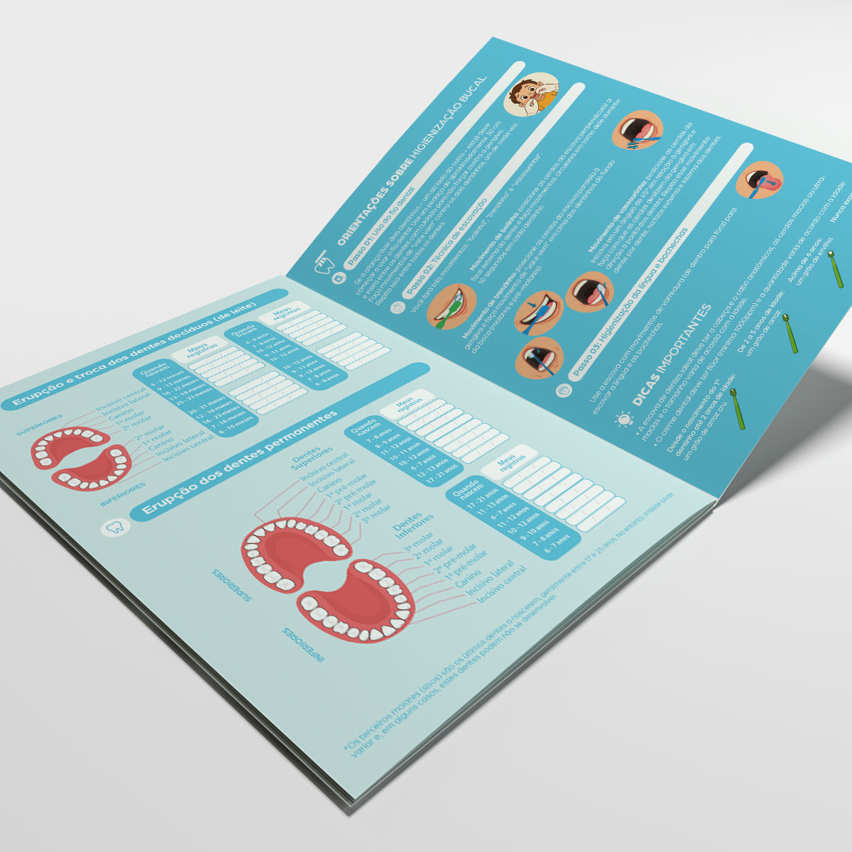 Carteira de Acompanhamento Odontológico 8 Páginas | Modelo 005