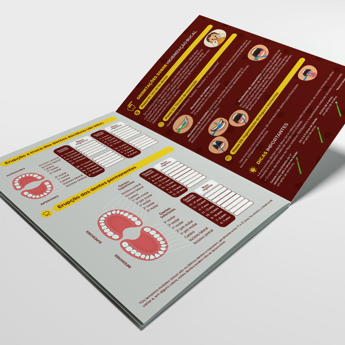 Carteira de Acompanhamento Odontológico 12 Páginas | Modelo 001