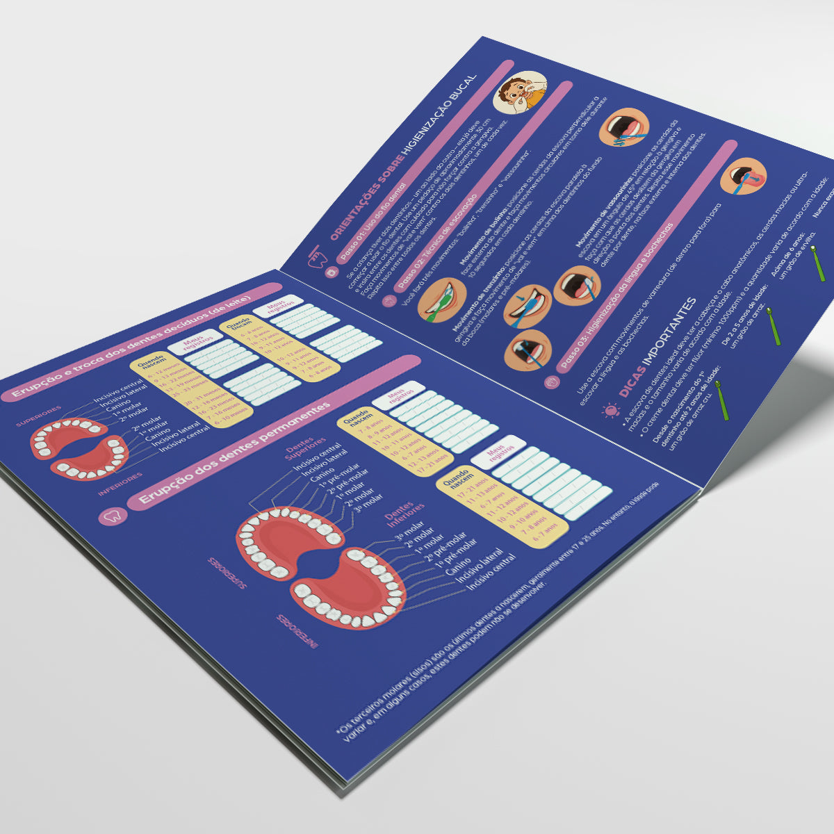 Carteira de Acompanhamento Odontológico 12 Páginas | Modelo 002