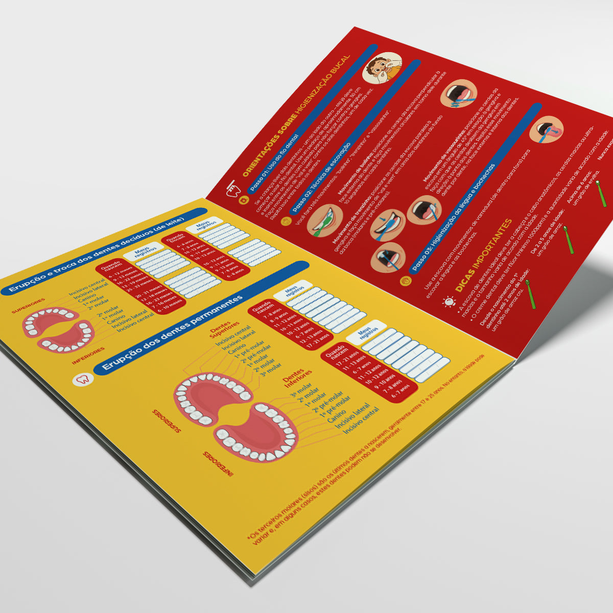 Carteira de Acompanhamento Odontológico 12 Páginas | Modelo 004