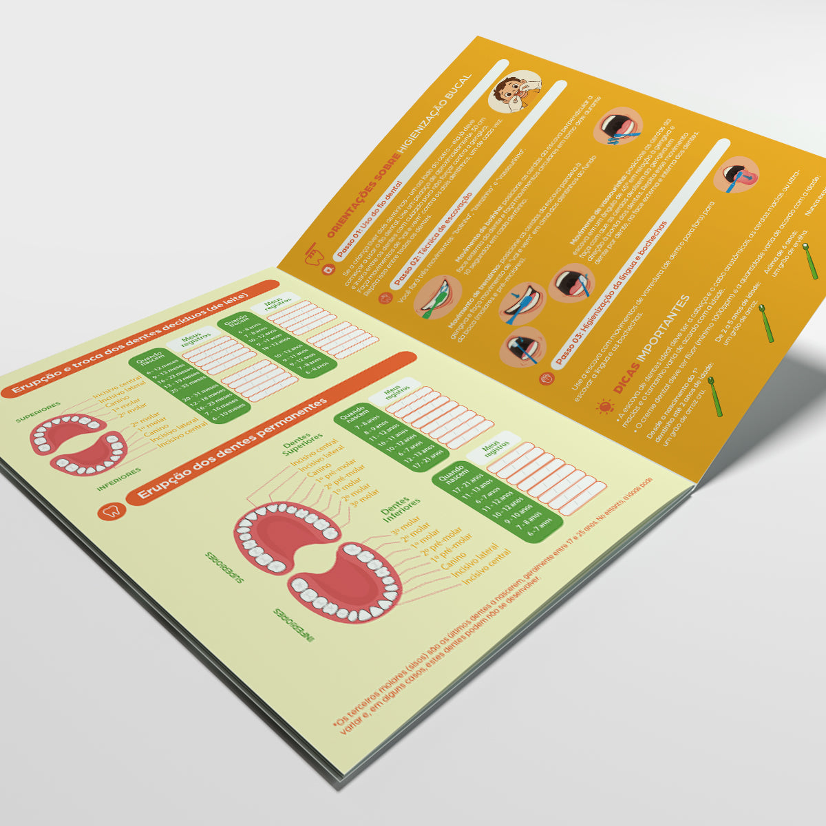 Carteira de Acompanhamento Odontológico 12 Páginas | Modelo 007